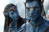 avatar naavi