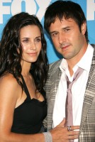 cox arquette