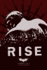 bane tdkr poster 2