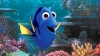 dory finding nemo