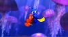 nemo 3d 