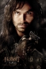 hobbit afiche 5