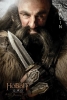 hobbit afiche 13
