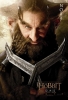 hobbit afiche 14