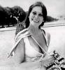 lovelace