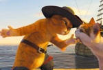 puss