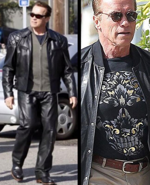 terminator genesis arnold pic