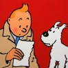 tintin