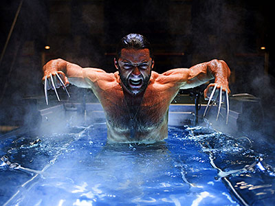 Wolverine
